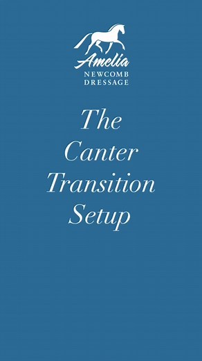 🐴Here’s a very quick 3 part guideline for how to set up for a good canter transition! Let me know if you find it helpful, and if you do, I’d love if you shared it! 🐎PS you’re invited to my Contact and Connection webinar this Sunday at 12pm PST! You’ll learn so much about how to get your horse going in a much more engaged way, and I’m giving out some exciting prizes!! Sign up at the link on my page! 😀Hope to see you there!!! | Amelia Newcomb Dressage