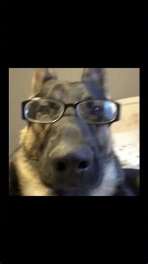 TierListando erros montando um pc