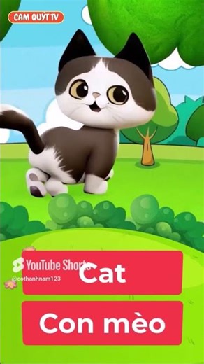 #camquyttv #cácconvật #animals