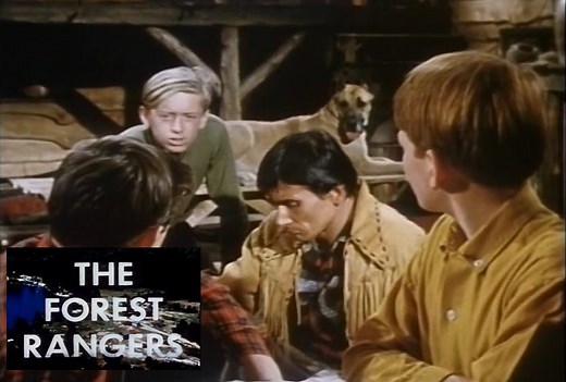 26K views · 718 reactions | The Forest Rangers was Canada's first television show produced in colour, and later rerun daily on YTV in the late 80s | Retrontario | Facebook