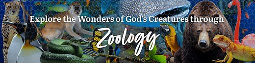 Elementary Zoology Homeschool Curriculum