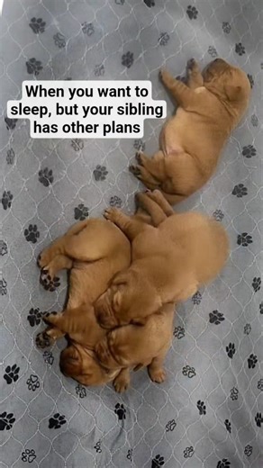 There's always that one in the bunch!