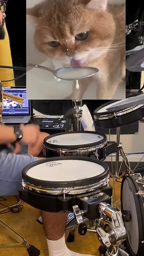 1.1M views · 6.9K reactions | Which genre did we just create?? This is a hit!!! #drum #drums #drummer #drumset #drumline #drumlife #drumming #drummers #drummerlife #drummerboy #hiphop #drumvideo #instadrum #drumsharing #musician #musicians #musiciansofinstagram #pocket #pocketbully #losangelesmusicians #drumsticks #drumer #rolanddrums #electronicdrums #vdrums #instadrum #instadrummer #roland #drumsolo #rolandvdrums #cat | Drew on the Kit | Facebook
