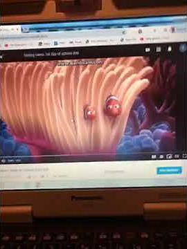 Finding nemo 1st day of school