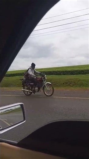 Of roadtrips and fresh air#visionwise #roadtrip #teaplantations #outdoors