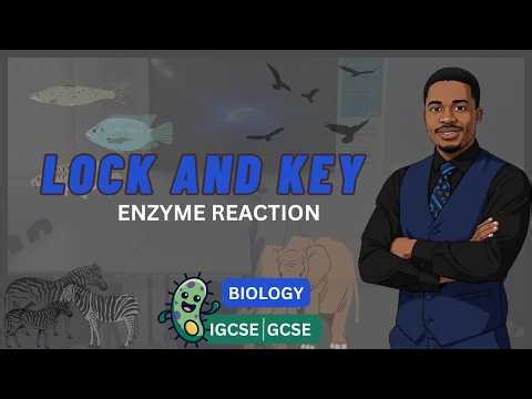 LOCK AND KEY