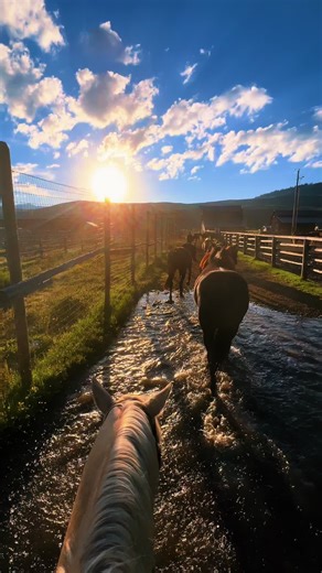 Exploring the Cowboy Culture in Wyoming - A Cowgirl's Life