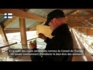 Inside a Finland fur farm