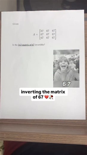 ur_averagetutor on Instagram: "We love linear algebra ❤️❤️ #fypシ #averagemathtutor #fyp #fypage #funny #sat #meme #math #viral #67 #brainrot #algebra"