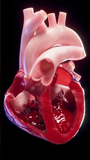 The Future of Medical Education with SciePro #meded #anatomy