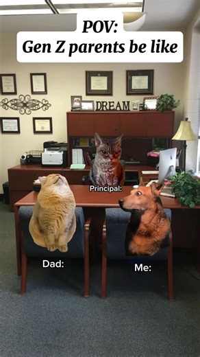 Catology on Instagram: "Gen Z Parents #cats #relatable #catmeme #relationships #funny #funnycat #foryou #reel #cat #catvideos #viral #fyp"
