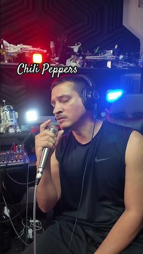 Best Chili Peppers Song Ever?? Red Hot Chili Peppers - I Could Have Lied