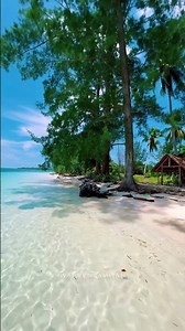 beach water short video |ocean waves video clip aesthetic |ocean aesthetic clips|Relaxing Music