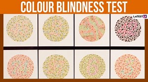Colour Blindness Awareness Day 2020: Can You See All the Shades? This Simple Color Blindness Test Can Figure Out! | 🍏 LatestLY