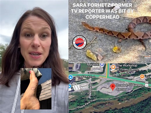 41K views · 620 reactions | Runner bit by copperhead while running on trail in Ozark >> joplinnewsfirst.net/46yLMgR — Actual photo taken by the runner who identified herself on social media. She is former tv reporter Sara Forhetz! ♥️ The City of Ozark warn trail users of snake bite along James River on the Ozark Park Trail. | Joplin News First | Facebook