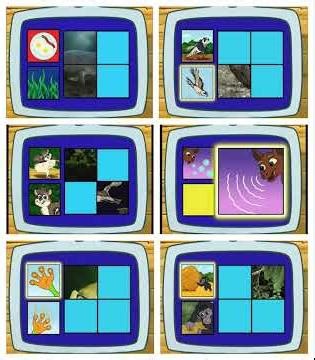 Go, Diego, Go!: 6 Let’s Review! Part 2!