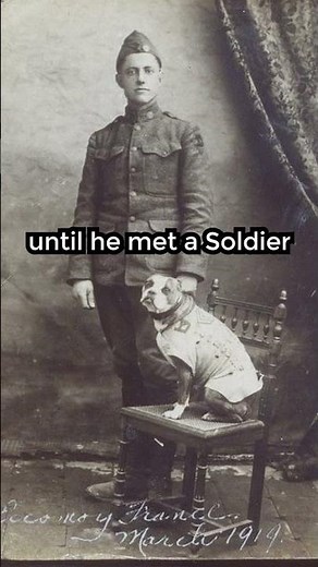 Sergeant Stubby: The Dog Hero of WW1 #history #photography #americanhistory