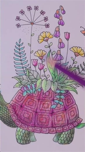 How to color a turtle shell so its 3D