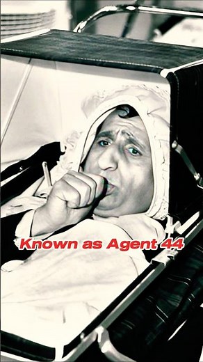 Meet the iconic cast of Get Smart (1965-1970) #celebrity