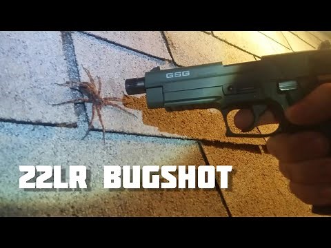 Shooting spider with 22LR shotshell