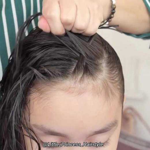 Little Princess Hairstyle on TikTok