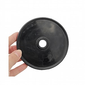 [Hot Item] Diaphragm Pump Repair Kit Membrane and Rubber O Ring