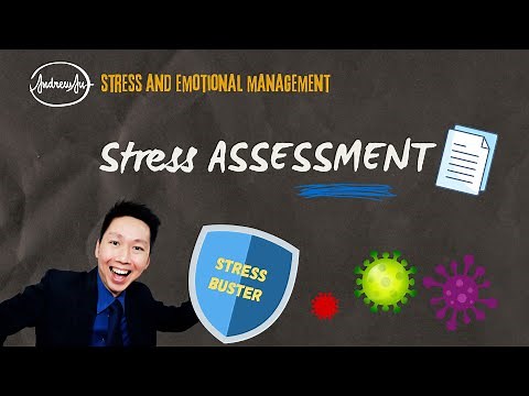 Stress Assessment [Perceived Stress Scale]