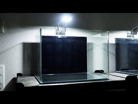 How to Attach DIY Aquarium Fish Tank Background | Step by Step | Easy