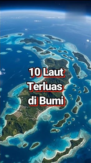 Bukan Samudra! 🌊 Inilah 10 Laut Terluas di Dunia 🌍 #short #top10 #faktaunik