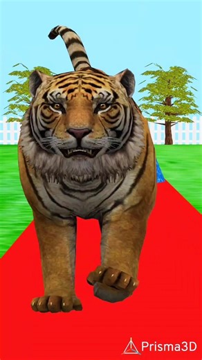 long slide game with elephant gorilla buffalo hippopotamus tiger funny 3d animals#usa #shorts