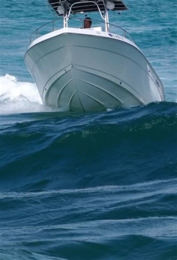 Cobia Fishing Adventures at Haulover Inlet