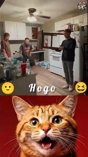 Mission ImpossibleFailed😂🤣 Successfully! #trending #funny #cat #shorts