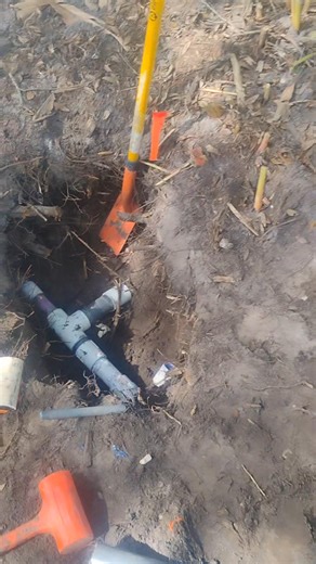 Sean Johnson on Reels | Facebook