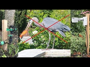 How to scares the animals in your garden with a self made animal repeller (Water Alarm System)