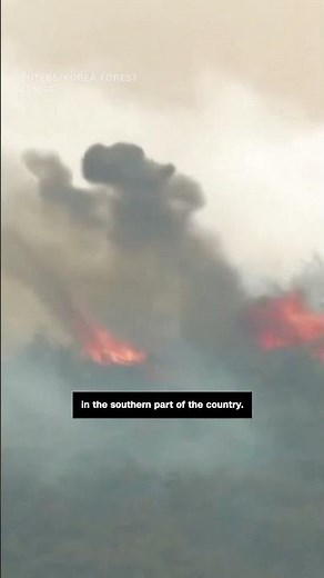 Wildfires devastate South Korea #cnn10