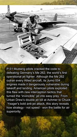 262K views · 1K reactions | HOW MUSTANGS BEAT JETS! ⚡ #WWII #AviationHistory #P51Mustang #Me262 #AirCombat #WWIIJets #ChuckYeager #UrbanDrew #Luftwaffe #WorldWarTwo #HistoryReels #FighterAces #AerialWarfare #MilitaryHistory #JetVsProp | Gist of History | Facebook