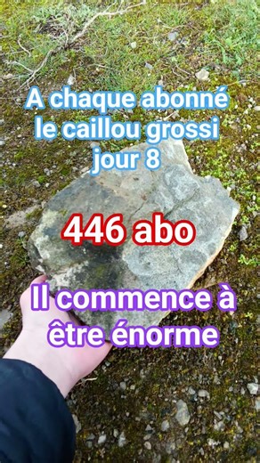 a chaque abonné le caillou grossi jour 8 /446 abo #fypシ #rap #drole #humour #caillou#pourtoi#tiktok