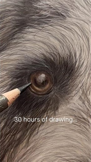 Wilson the Labradoodle Comes to Life 🐾 | Double Pet Portrait Part 2