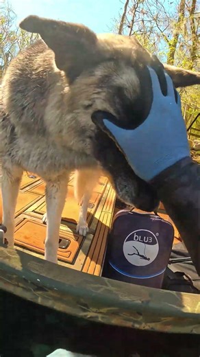 81g Gold Chain Found Underwater 😳