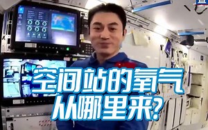 氧气和二氧化碳的循环