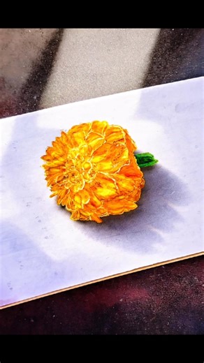 Realistic Marigold Flower Drawing 🌼 | Color Pencil Shading#shorts