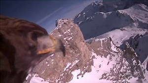 Here's what it looks like to fly, from a Hawk's perspective! | Travel Pics