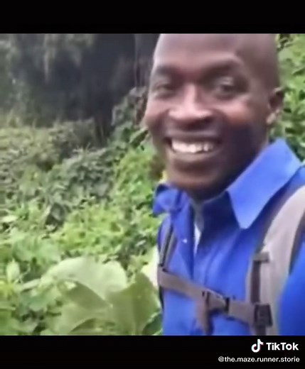 HEHEHEH @marco.balan08 #themazerunner #newt #chuck #brenda #harrypotter #themazerunnerpov #perteovviamente #dylanobrien #gally #minho #foryou