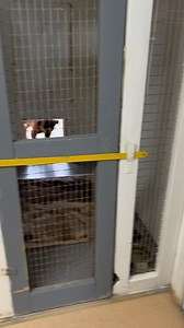 1.6K views · 39 reactions | This is what the local pound looks like...