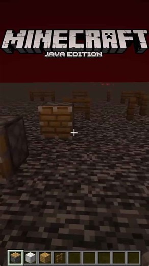 Diferencias entre Minecraft Java y Minecraft Bedrock #23