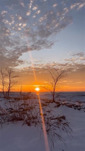 VISIT PA | Pennsylvania Tourism Office | Get ready to save this post for the *only* list you need of winter activities in one of the snowiest cities in the U.S. ❄️ With over 100... | Instagram