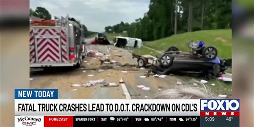 ALEA and ICE detain dozens of illegal truck drivers in Alabama, 12 with no license at all