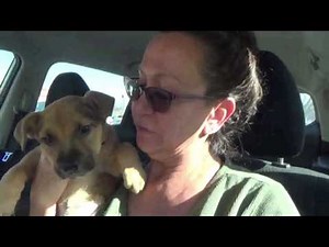 Casey James - Day in the life