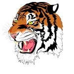 Princeton High School - Roster