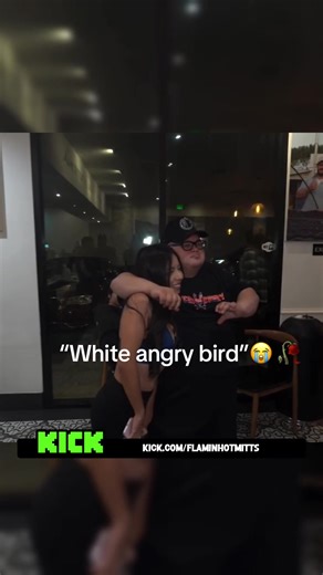 #fypシ #viral #fyp #flaminhotmitts #gemelos | angry bird